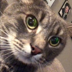 Meet your Posher, Cali